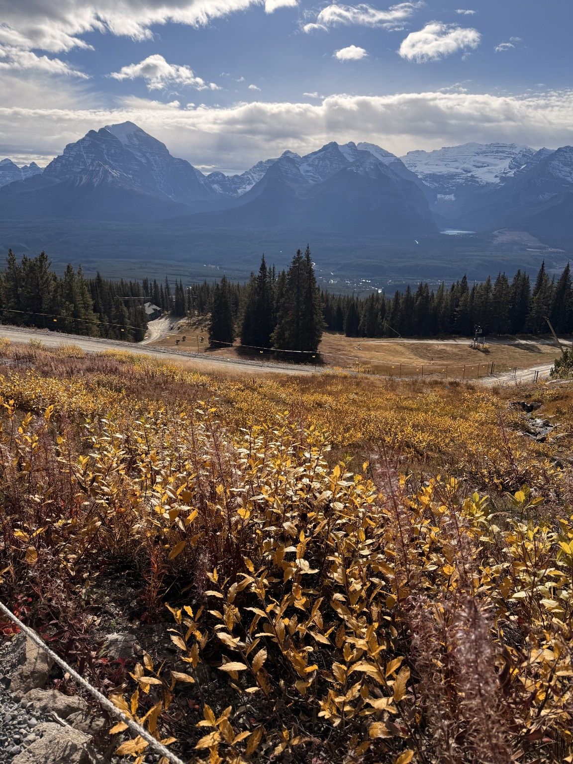 Lake Louise Sightseeing Gondola in Fall: A Family Guide